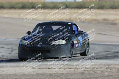 media/Oct-21-2023-Speed Ventures (Sat) [[ddf75163c5]]/Green/Grapvine/